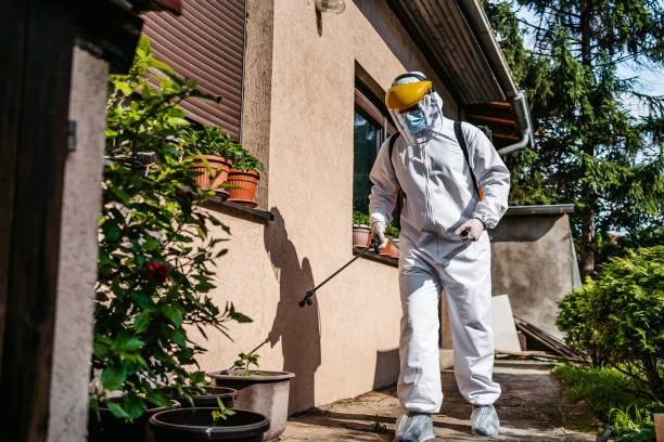 Best Pest Removal Services  in Wake Village, TX