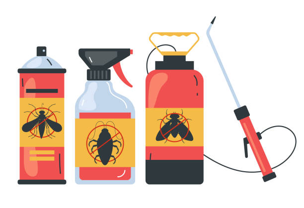 Best Exterminator Services  in Wake Village, TX