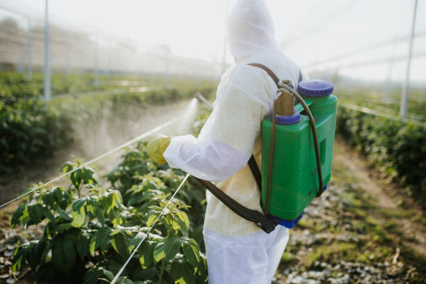  Wake Village, TX Pest Control Pros